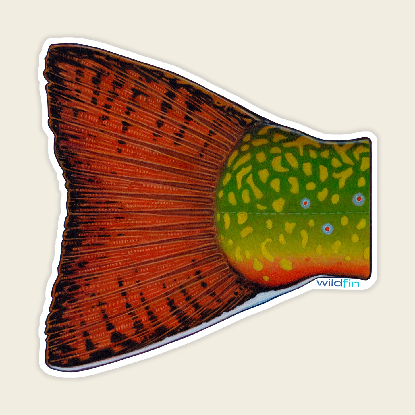 Brook Trout Tail Sticker