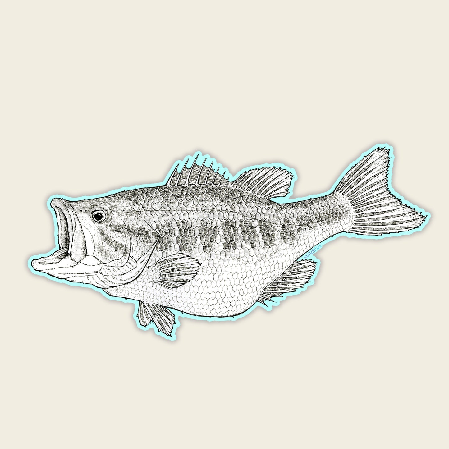 Baby Largemouth Bass Sticker