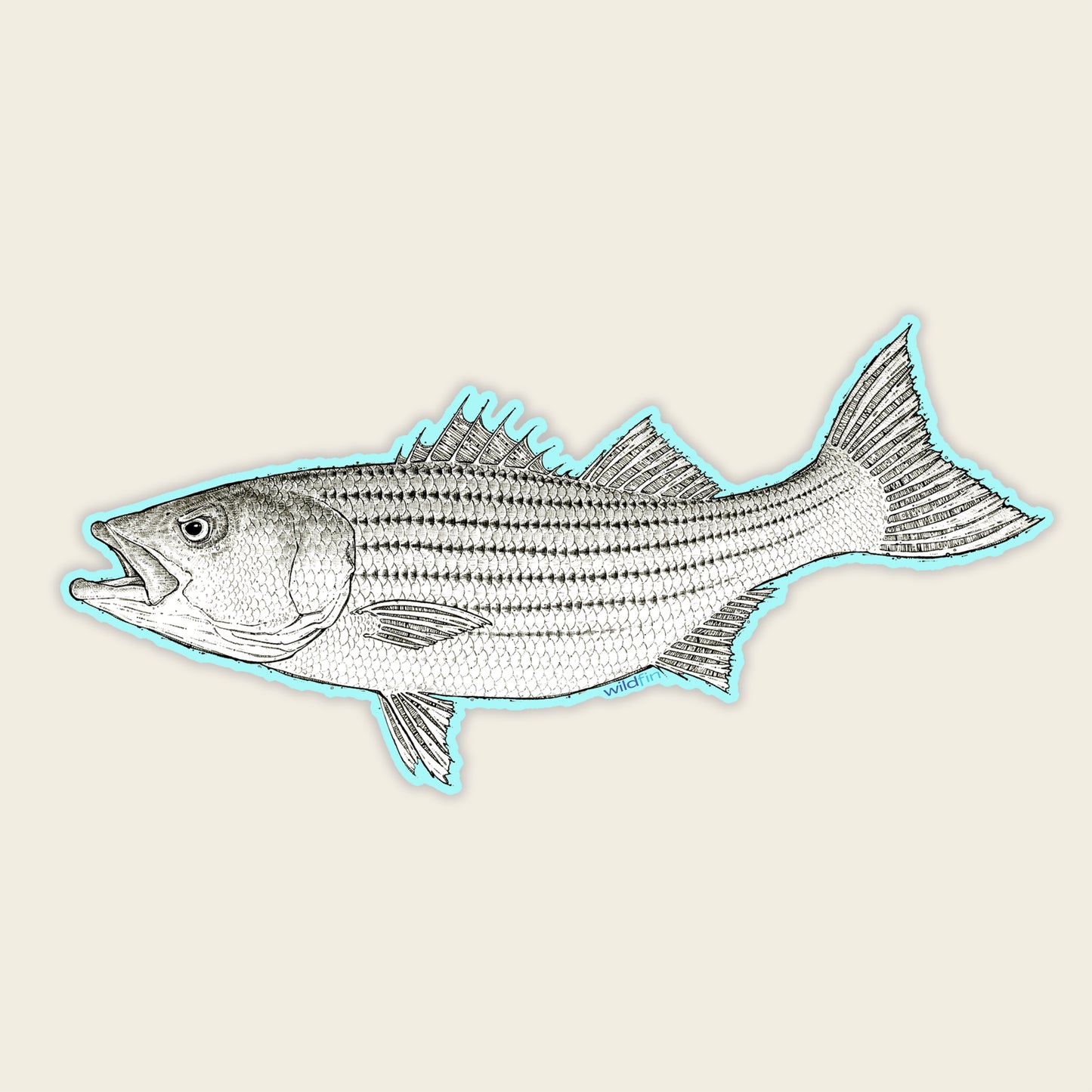 Baby Rockfish Sticker