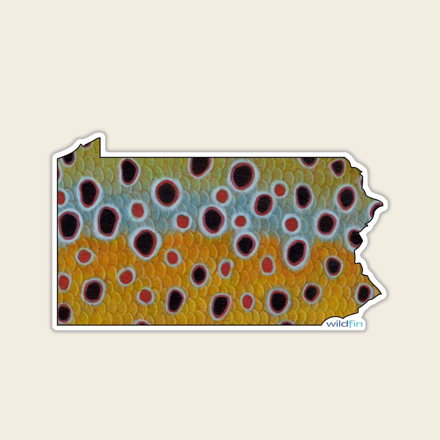 Pennsylvania Brown Trout Flank Sticker