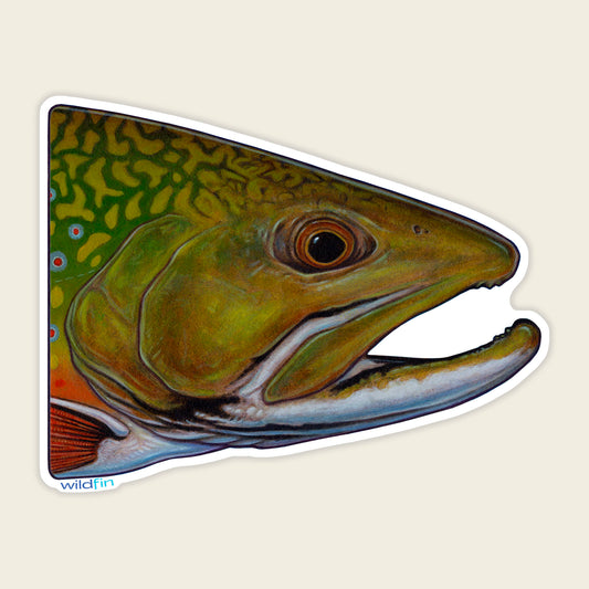 Brook Trout Head Sticker