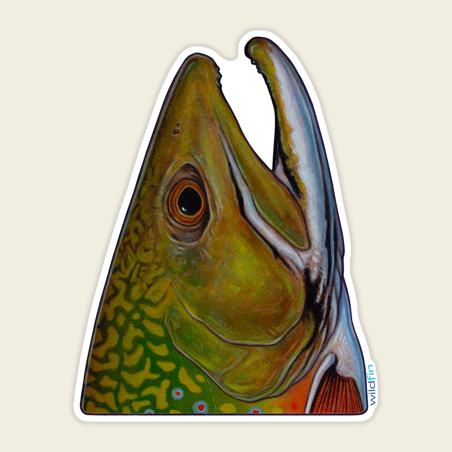 Brook Trout Head Sticker