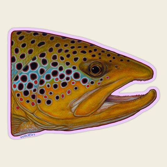 Brown Trout Head Sticker