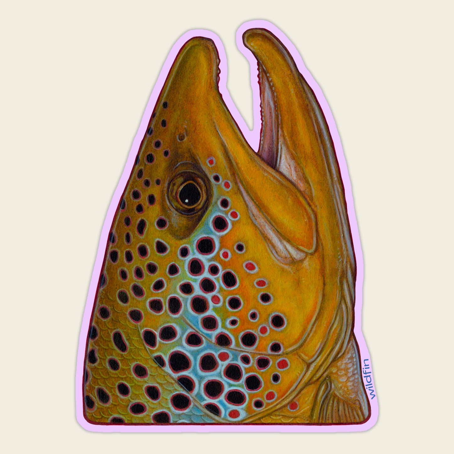 Brown Trout Head Sticker