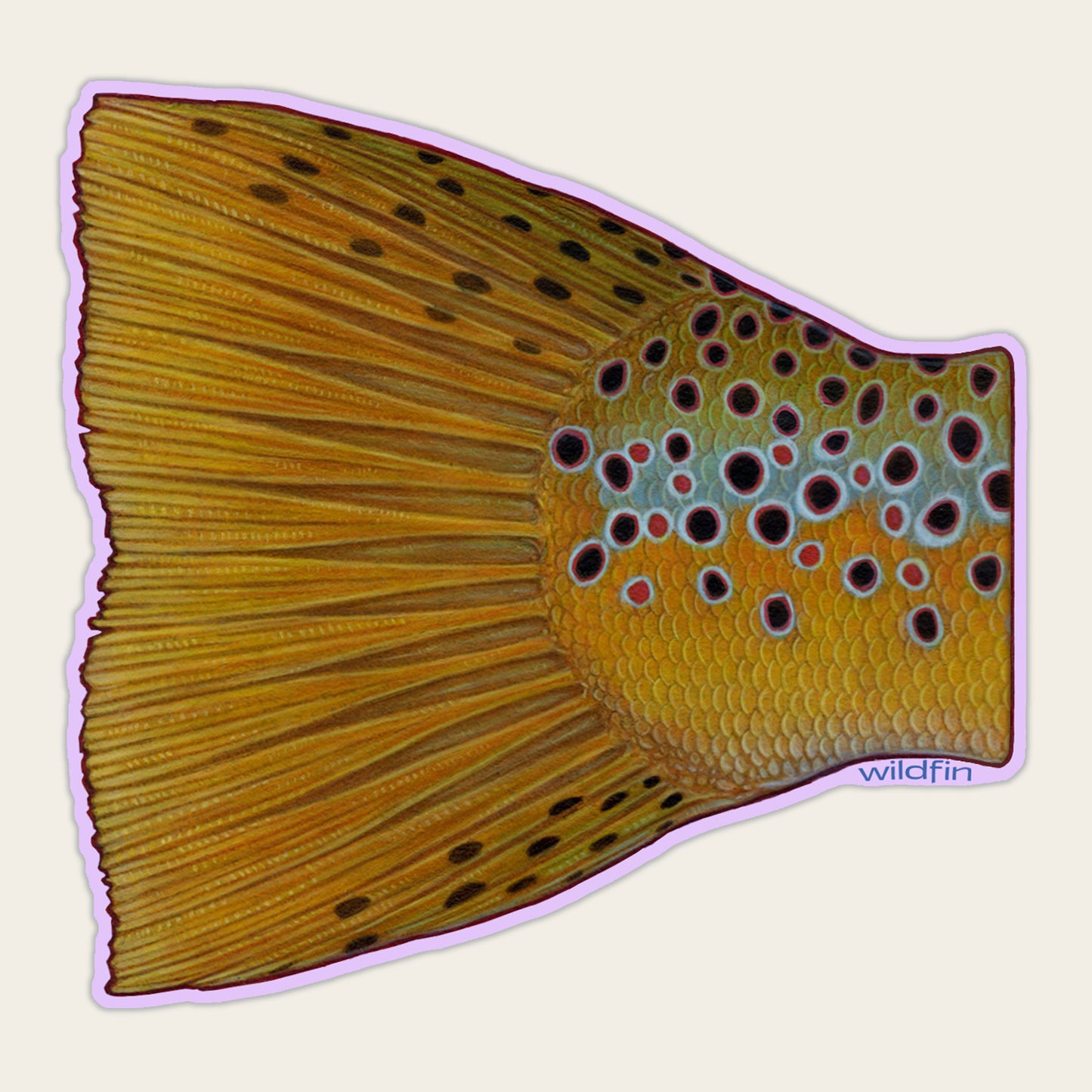 Brown Trout Tail Sticker