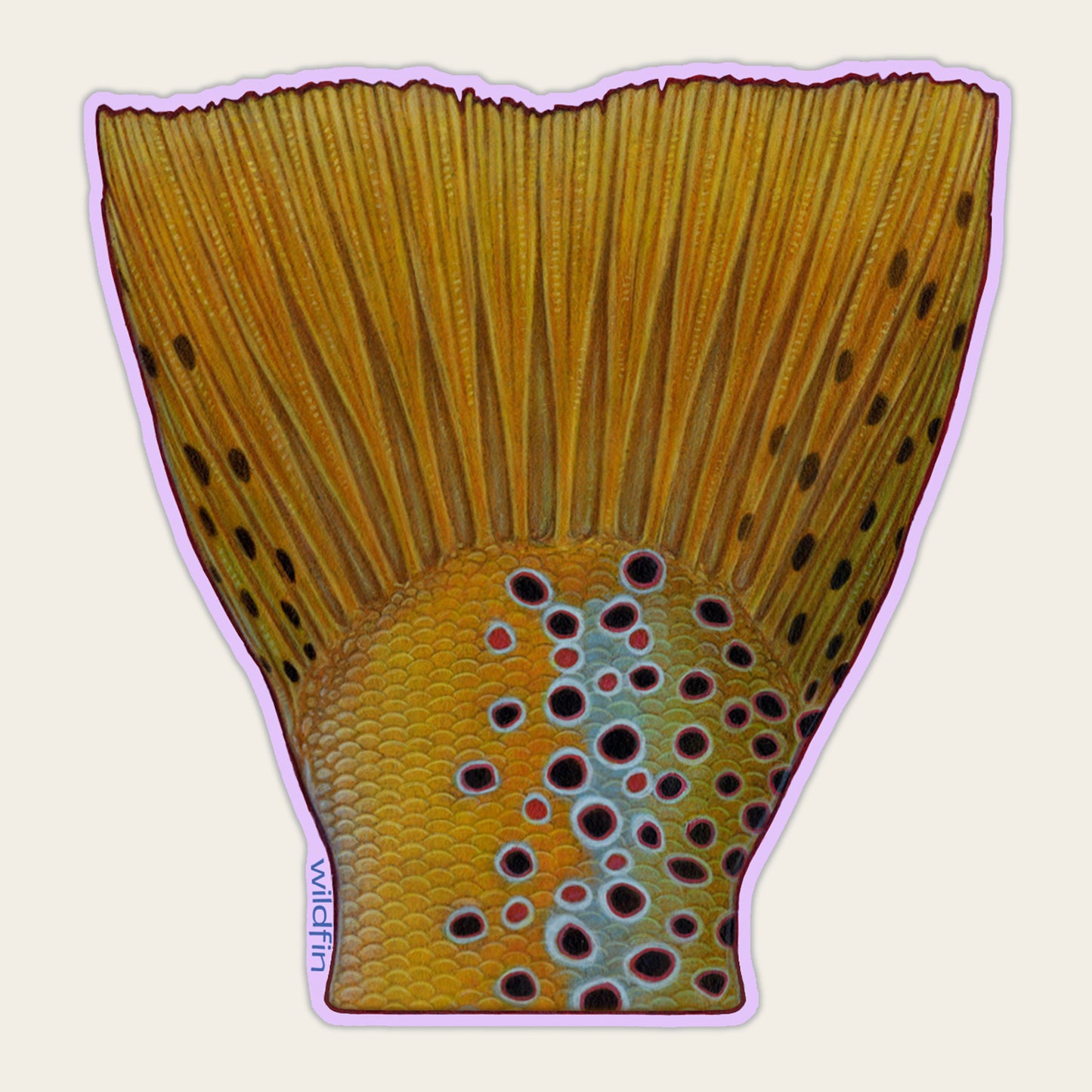 Brown Trout Tail Sticker