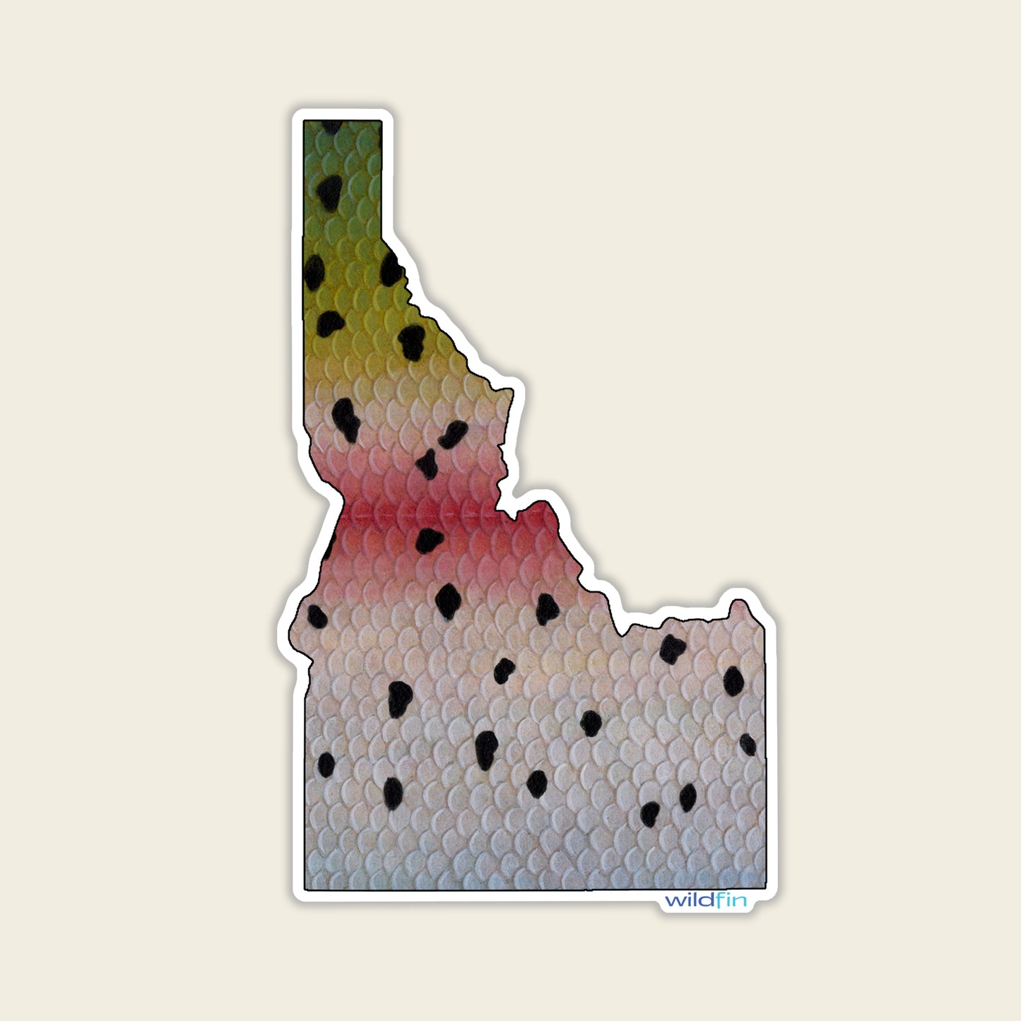 Idaho Rainbow Trout Flank Sticker