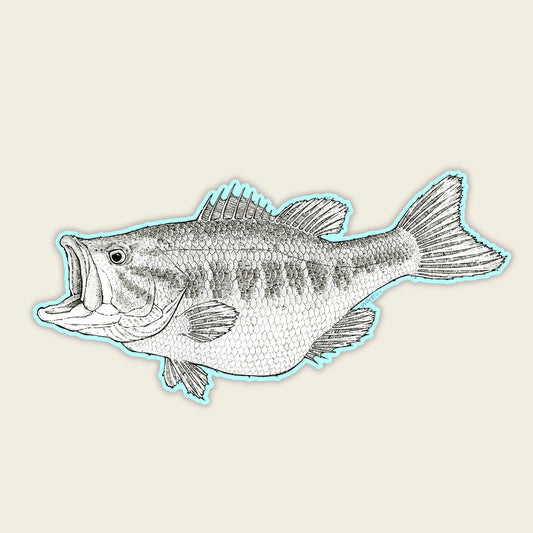 Baby Largemouth Bass Sticker