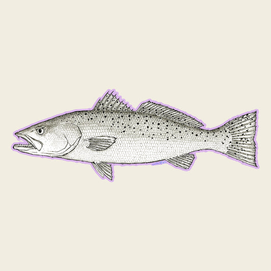 Baby Speckled Trout Sticker