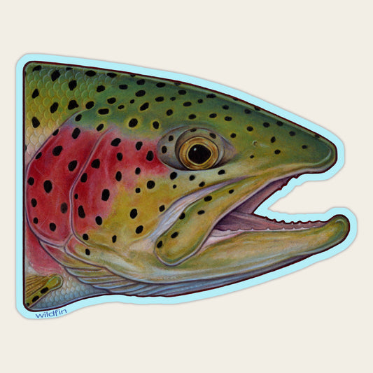 Rainbow Trout Head Sticker
