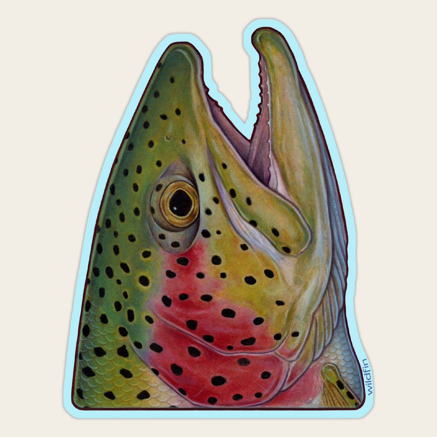 Rainbow Trout Head Sticker