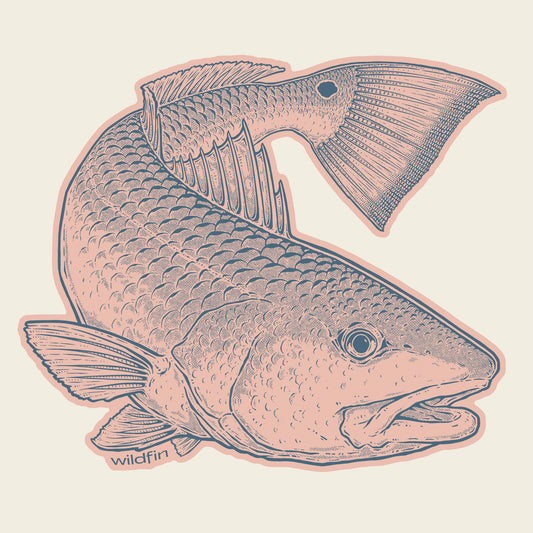 Red Drum Sticker