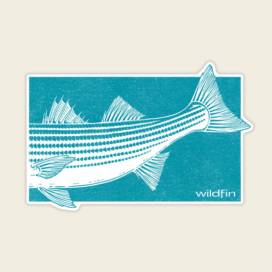 Striped Bass Block Sticker