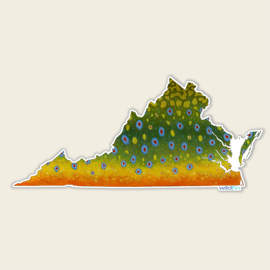 Virginia Brook Trout Flank Sticker
