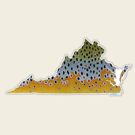Virginia Brown Trout Flank Sticker