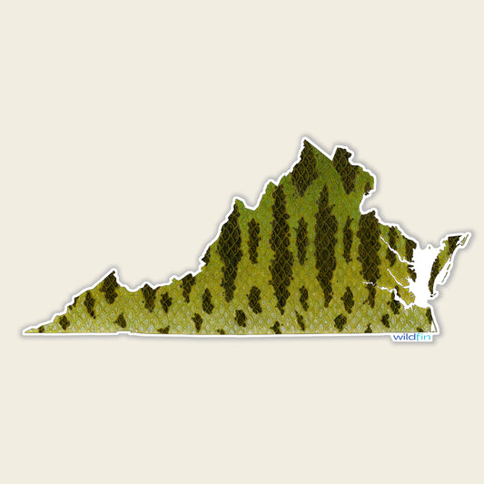 Virginia Smallmouth Bass Flank Sticker