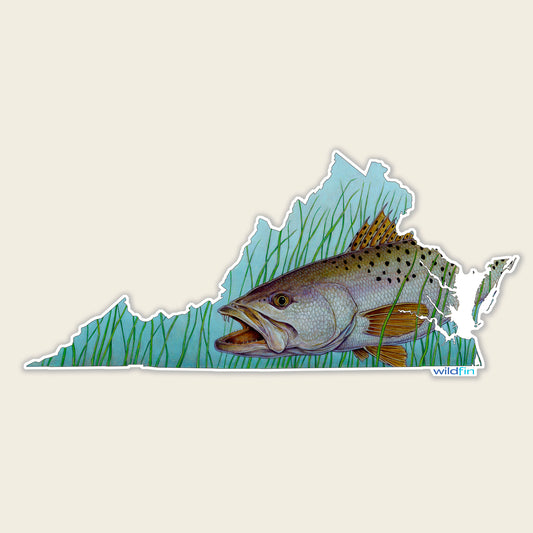 Virginia Speckled Trout Sticker