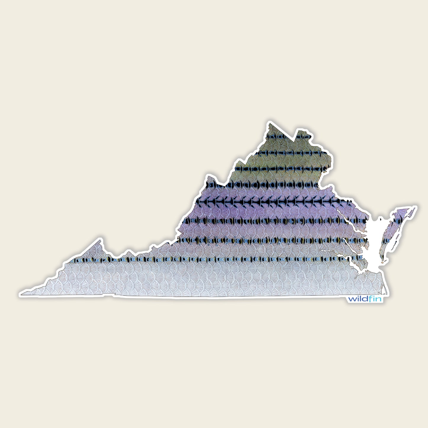 Virginia Striped Bass Flank Sticker